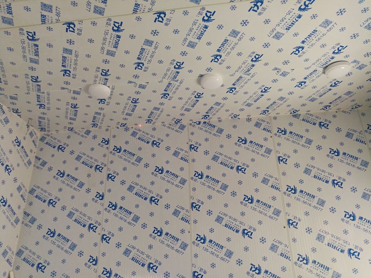深圳李總蛇口（kǒu）飄雪機（jī）